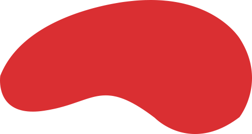 N1国际案例
